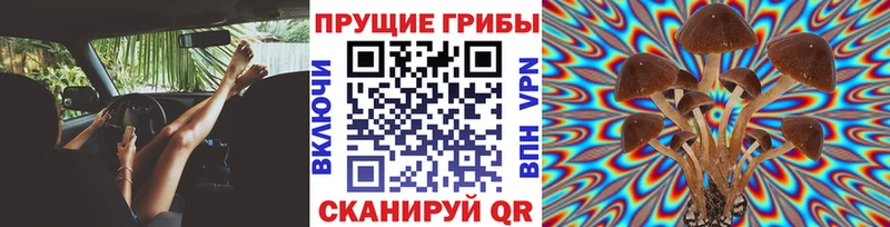 Псилоцибиновые грибы Cubensis  мега ссылка  Волчанск 